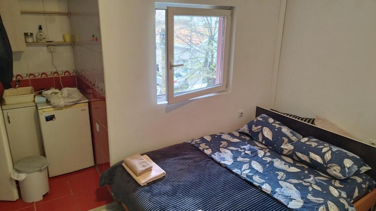 Small Apartment Private Bathroom Strong Wi-Fi Belgrado Esterno foto
